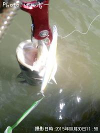 �����Х�