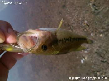 �֥�å��Х�