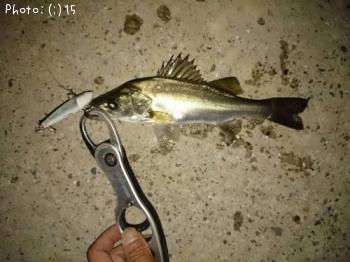 �ޥ����������Х����ܥ顢����������