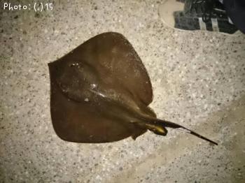 �ޥ����������Х����ܥ顢����������