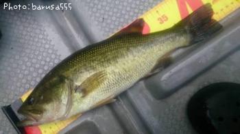 ¥Ö¥é¥Ã¥¯¥Ð¥¹