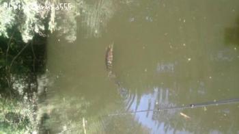 �֥�å��Х���