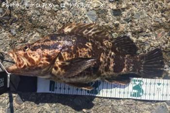 ¥¿¥±¥Î¥³¥á¥Ð¥ë