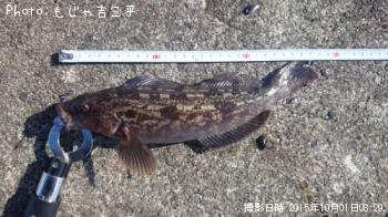 �����ʥ�