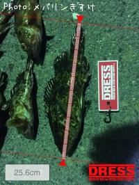 �����Υ������