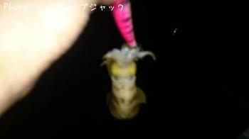 ¥¢¥ª¥ê¥¤¥«