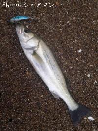 �����Х�