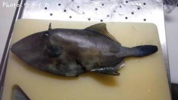 ���ޥť�ϥ�