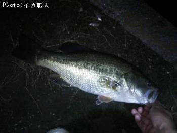 �֥�å��Х�