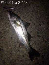 �����Х�