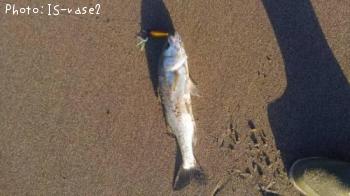 �����Х�