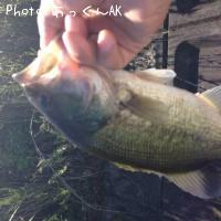 ¥Ö¥é¥Ã¥¯¥Ð¥¹