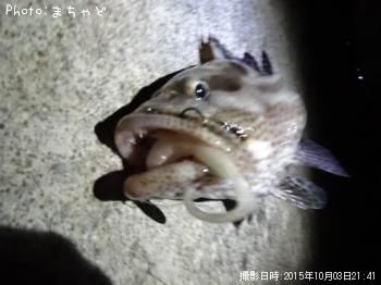 �����顼�ߡ��Х��ڥޥ���ϥ���