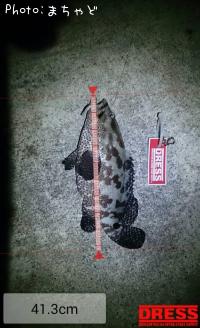 �����顼�ߡ��Х��ڥޥ���ϥ���