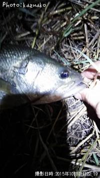 �֥�å��Х�