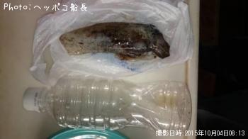 ¥¢¥ª¥ê¥¤¥«