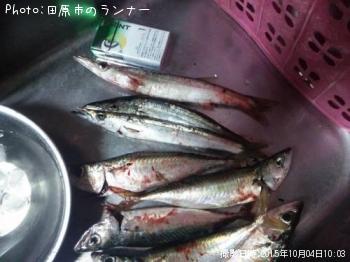 ���ޥ�������