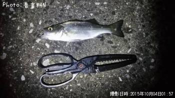 �ҥ饻����