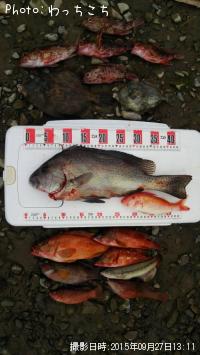 ����̾�����ϥ�������