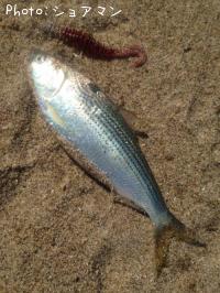 ���Υ���