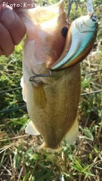 ¥Ö¥é¥Ã¥¯¥Ð¥¹¡¡