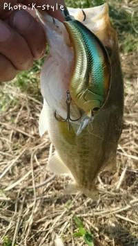 ¥Ö¥é¥Ã¥¯¥Ð¥¹¡¡