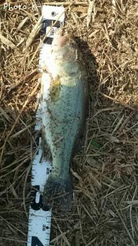 ¥Ö¥é¥Ã¥¯¥Ð¥¹¡¡