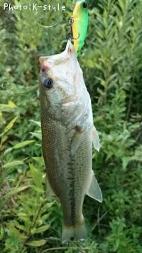 ¥Ö¥é¥Ã¥¯¥Ð¥¹¡¡