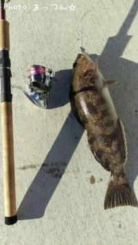 �����ʥ�