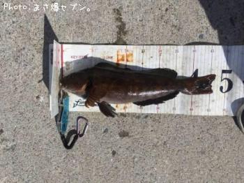 �����ʥ�