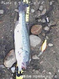 �֥�å��Х�