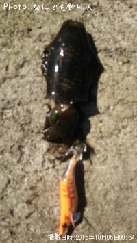 �����ꥤ��