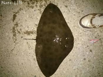 �ĥХ����ߣ�������