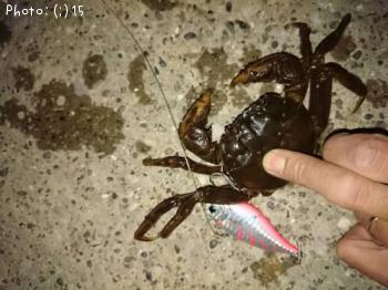 �ĥХ����ߣ�������