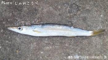 ¥¢¥¸¡õ¥«¥Þ¥¹