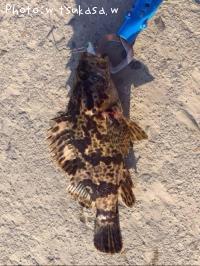 �����Υ���Х�