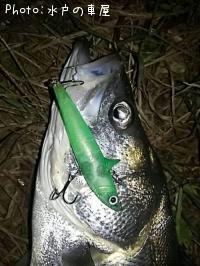 �����Х�