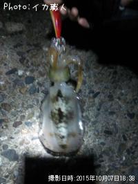 �����ꥤ��