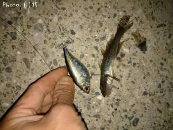 �ϥ����ĥХ����ߣ�