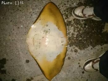 �ϥ����ĥХ����ߣ�