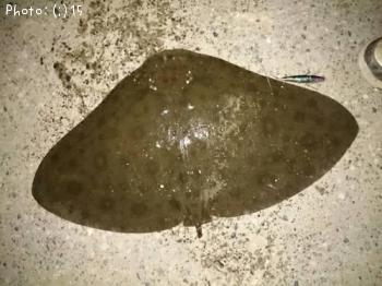 �ϥ����ĥХ����ߣ�