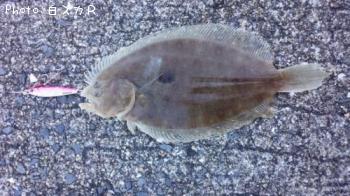 ���󥾥��ӥ��