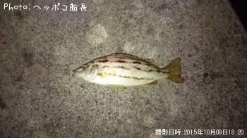 ���ޥ�������