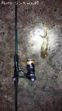 �����ꥤ��