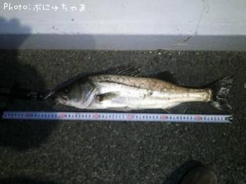 �����Х�