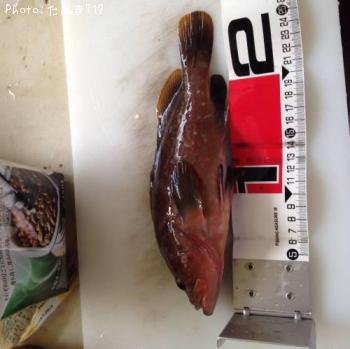 �����ϥ�