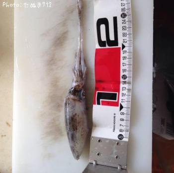 �����ꥤ��