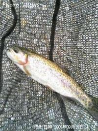 ¥ì¥¤¥ó¥Ü¡¼¥È¥é¥¦¥È