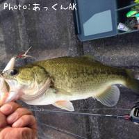 �֥�å��Х�