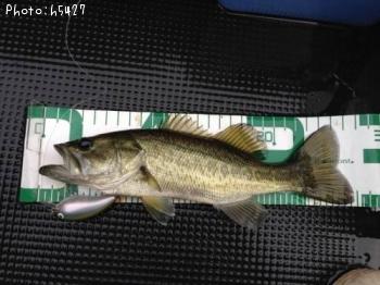 ¥Ö¥é¥Ã¥¯¥Ð¥¹